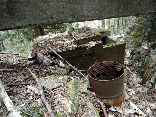 ���w�A�s���i���[�t�m���j