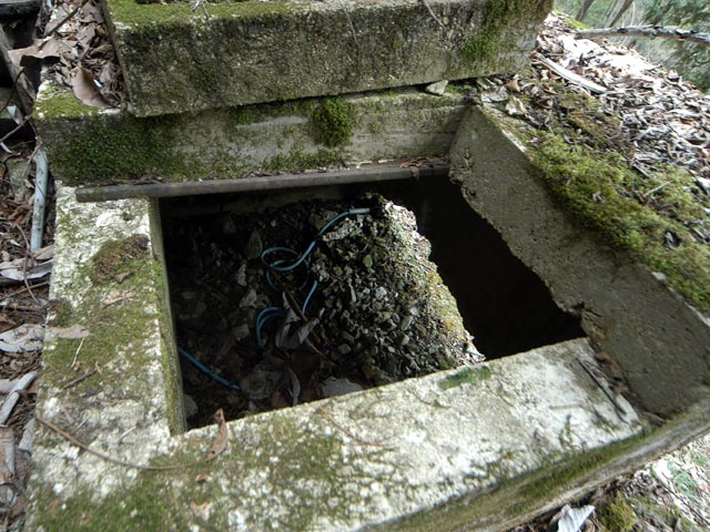 ���w�A�s���i���[�t�m���j