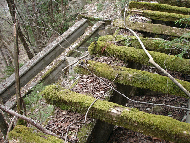 ���w�A�s���i���[�t�m���j