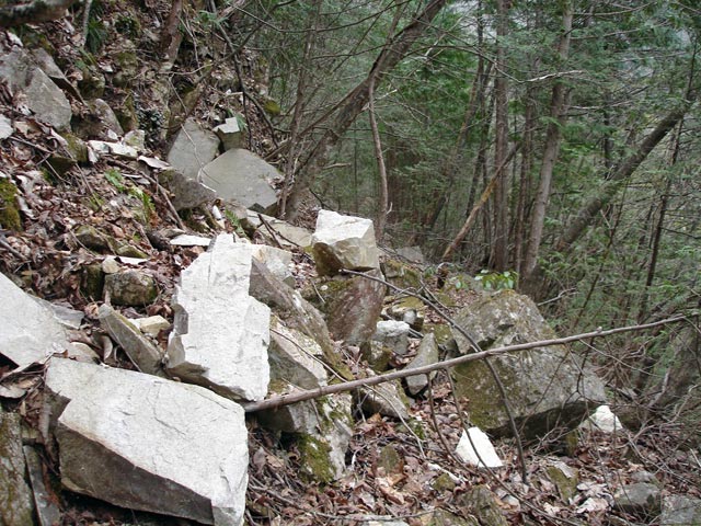 ���w�A�s���i���[�t�m���j