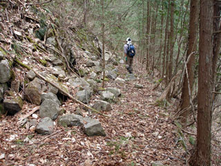 ���w�A�s���i���[�t�m���j