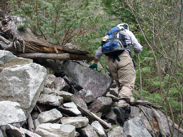 ��K�X�ѓS���������u���[�������5�������v