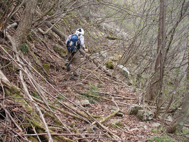 ��K�X�ѓS���������u���[�������5�������v