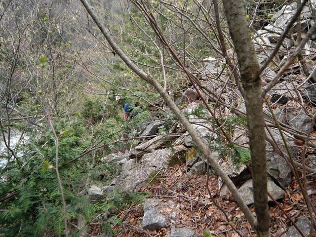 ��K�X�ѓS���������u���[�������5�������v