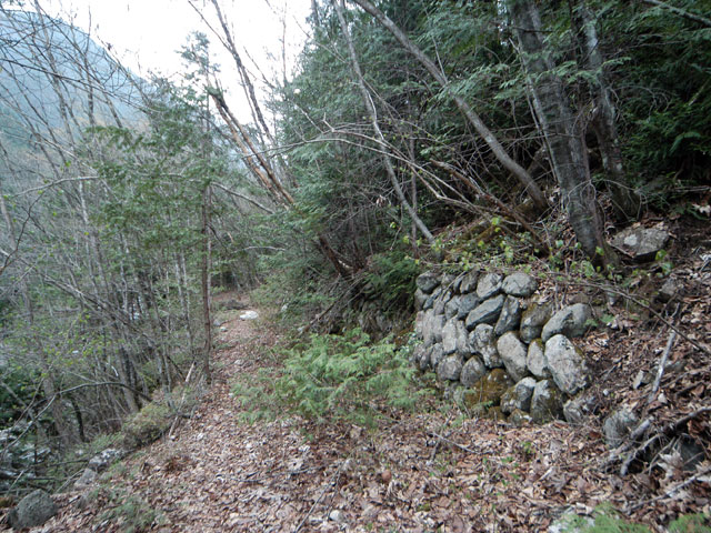 �����X�ѓS���u���[�������5�������v