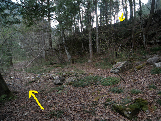 �����X�ѓS���u�������5�������[�ѓ��������v