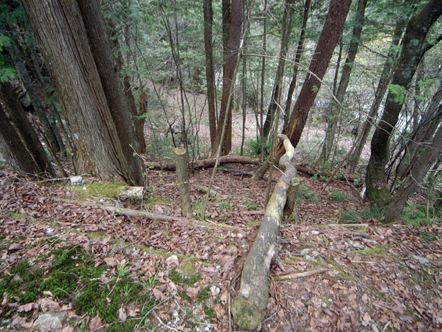 �����X�ѓS���u�������5�������[�ѓ��������v