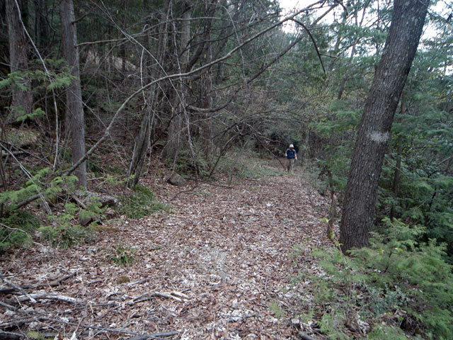 �����X�ѓS���u�������5�������[�ѓ��������v