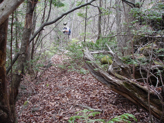 �����X�ѓS���u�������5�������[�ѓ��������v