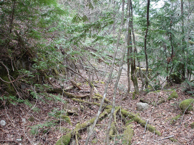 �����X�ѓS���u�������5�������[�ѓ��������v