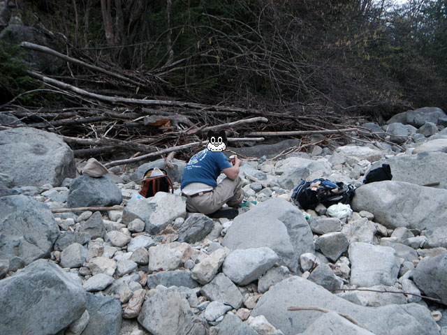 �����X�ѓS���u�������5�������[�ѓ��������v