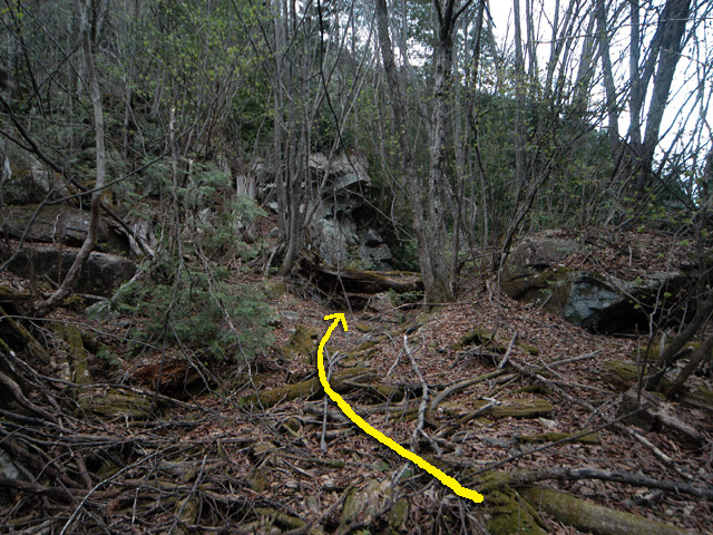 �����X�ѓS���u�������5�������[�ѓ��������v