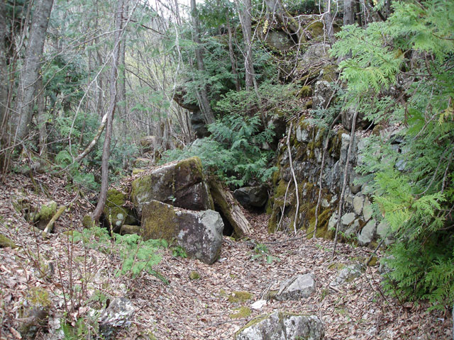 �����X�ѓS���u�������5�������[�ѓ��������v