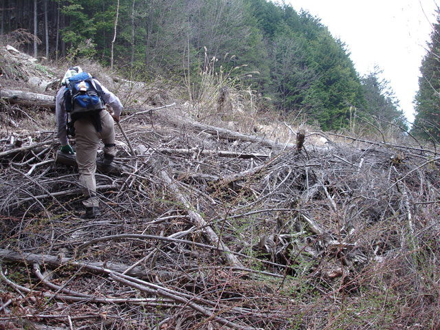 �����X�ѓS���u�������5�������[�ѓ��������v