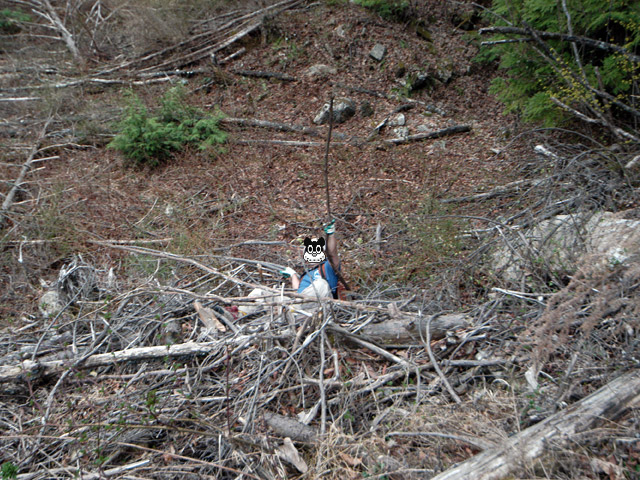 �����X�ѓS���u�������5�������[�ѓ��������v