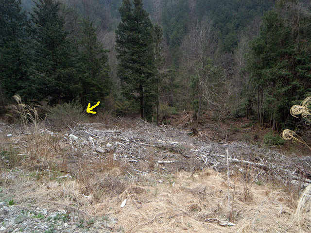 �����X�ѓS���u�������5�������[�ѓ��������v