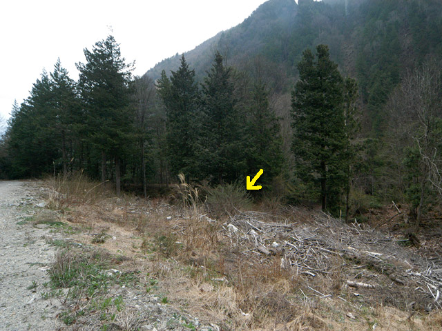 �����X�ѓS���u�������5�������[�ѓ��������v