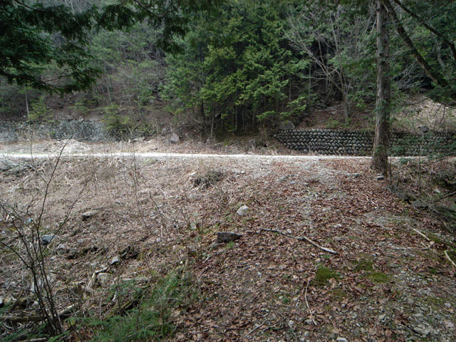 �����X�ѓS���u�������5�������[�ѓ��������v