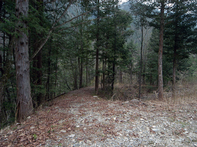 �����X�ѓS���u�������5�������[�ѓ��������v