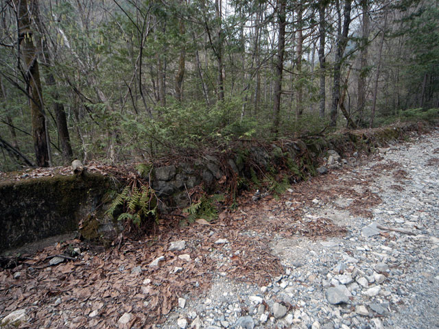 �����X�ѓS���u�ѓ��������[�������؎��Ə��v