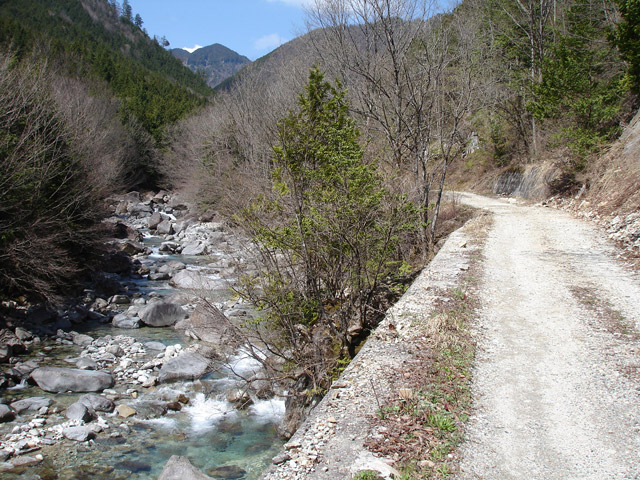 �����X�ѓS���u�ѓ��������[�������؎��Ə��v