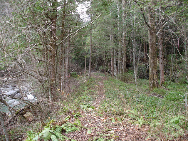 �����X�ѓS���u�ѓ��������[�������؎��Ə��v