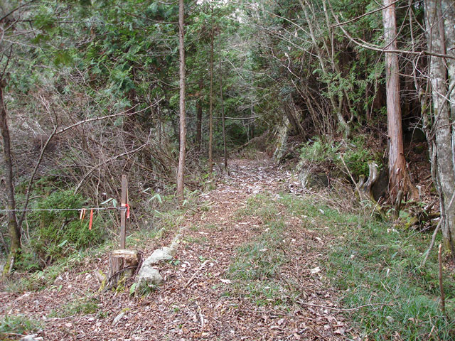 �����X�ѓS���u�ѓ��������[�������؎��Ə��v