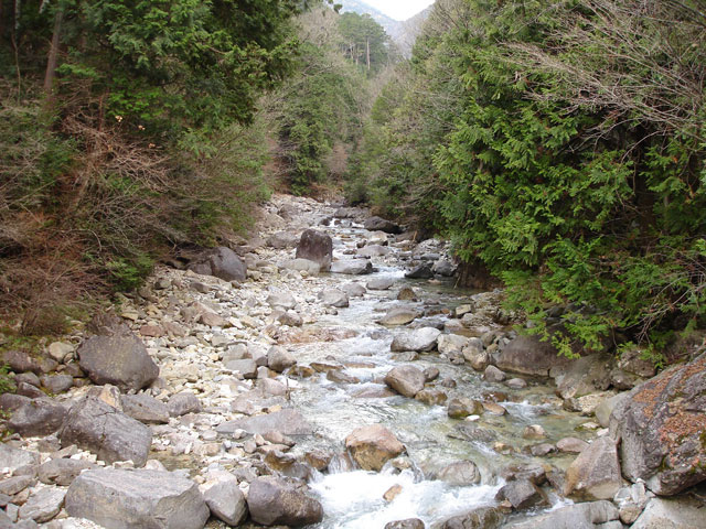 �����X�ѓS���u�ѓ��������[�������؎��Ə��v