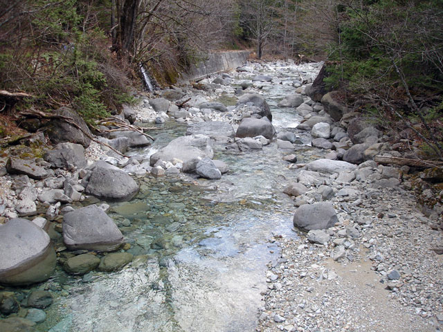 �����X�ѓS���u�ѓ��������[�������؎��Ə��v