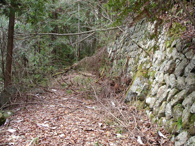 �����X�ѓS���u�ѓ��������[�������؎��Ə��v