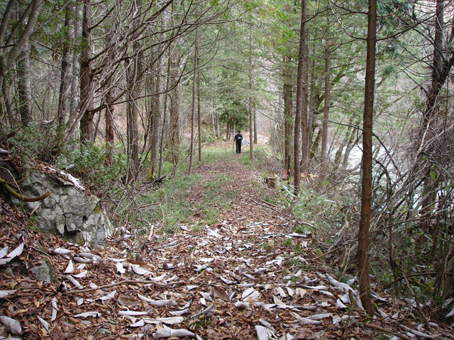 �����X�ѓS���u�ѓ��������[�������؎��Ə��v