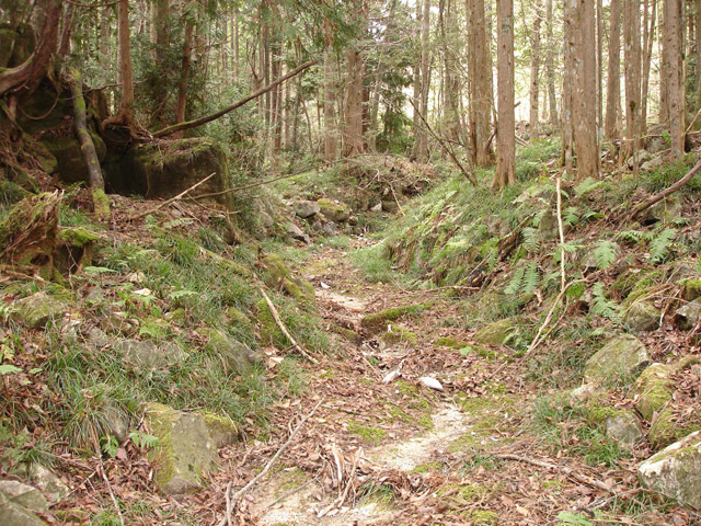 �����X�ѓS���u�������؎��Ə��v