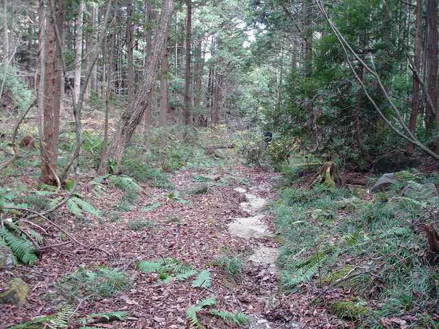 �����X�ѓS���u�������؎��Ə��v