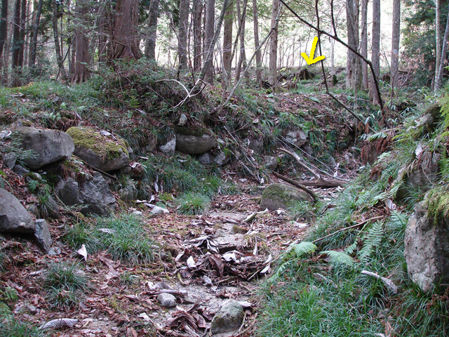 �����X�ѓS���u�������؎��Ə��v