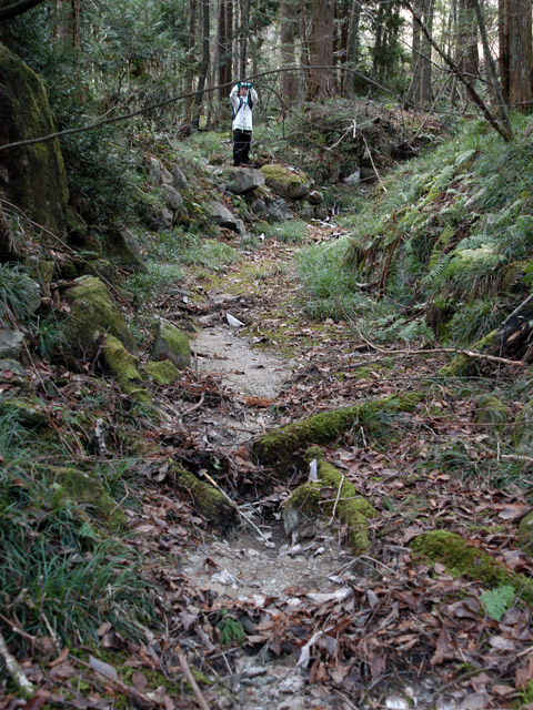 �����X�ѓS���u�������؎��Ə��v