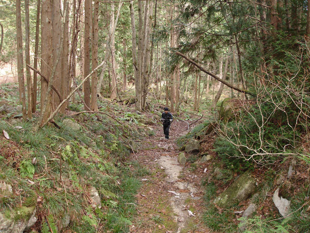 �����X�ѓS���u�������؎��Ə��v