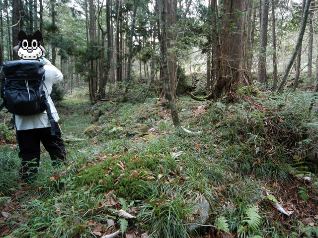 �����X�ѓS���u�������؎��Ə��v