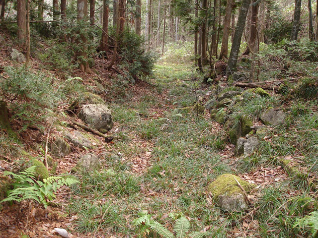 �����X�ѓS���u�������؎��Ə��v