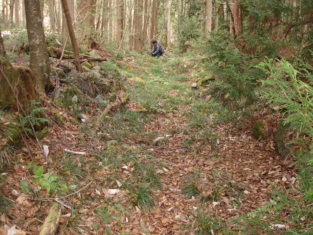 �����X�ѓS���u�������؎��Ə��v