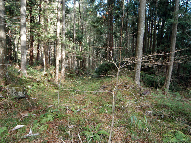 �����X�ѓS���u�������؎��Ə��v