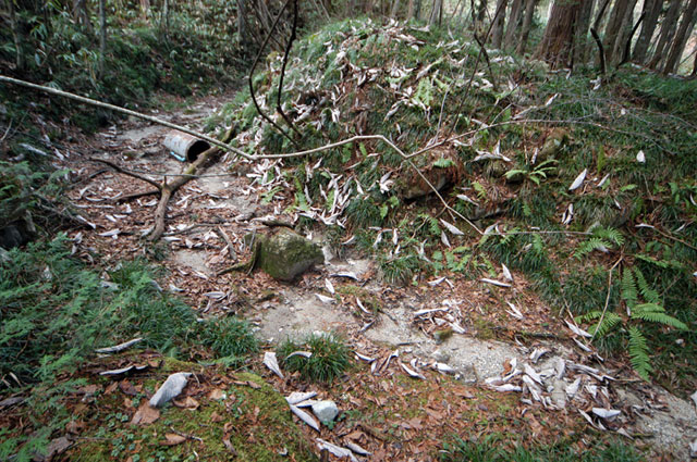 �����X�ѓS���u�������؎��Ə��v