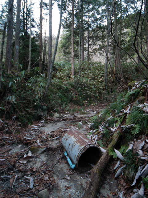 �����X�ѓS���u�������؎��Ə��v