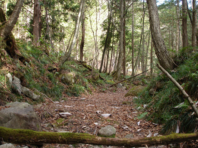 �����X�ѓS���u�������؎��Ə��v