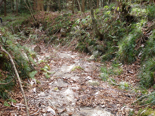 �����X�ѓS���u�������؎��Ə��v