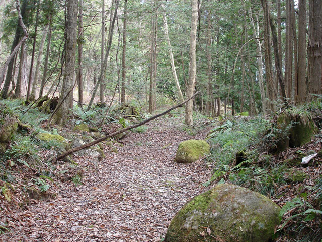 �����X�ѓS���u�������؎��Ə��v