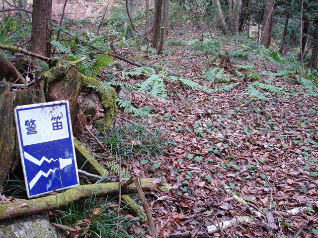 �����X�ѓS���u�������؎��Ə��v