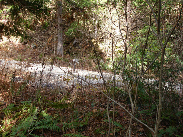 �����X�ѓS���u�������؎��Ə��v