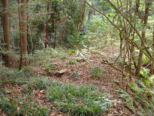 �����X�ѓS���u�������؎��Ə��v