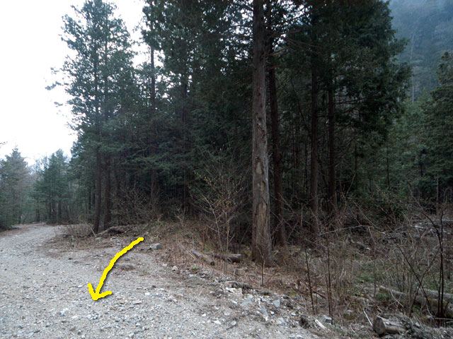 �����X�ѓS���u�������؎��Ə��v