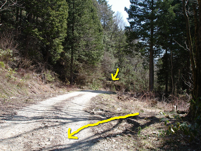 �����X�ѓS���u�������؎��Ə��v